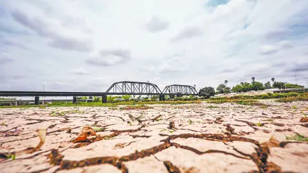 Descripción automática