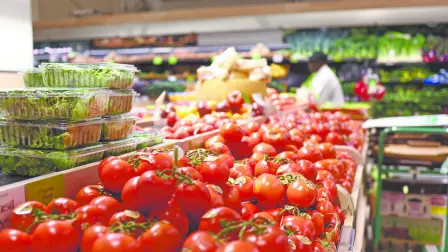 Descripción automática