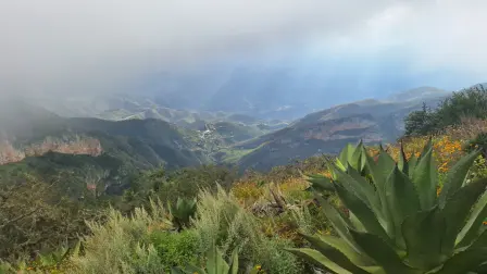 Ejidatarios de la Sierra Gorda de Querétaro