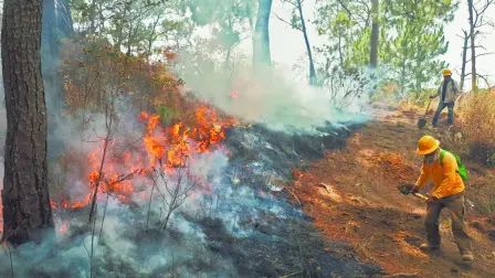 Descripción automática