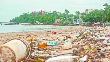 Descripción automática