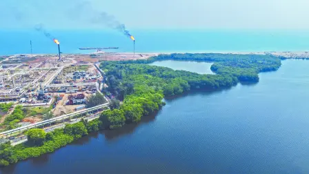 Descripción automática