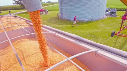 Descripción automática