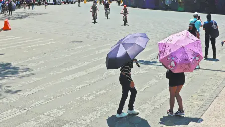 Descripción automática