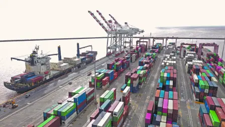 Descripción automática