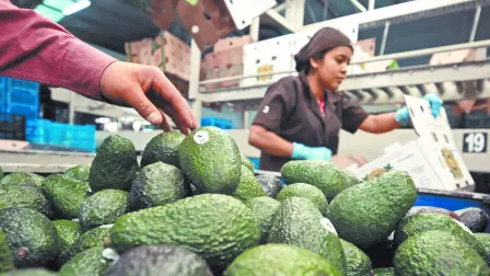 Descripción automática