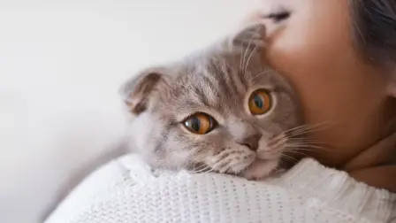 Convivir con un gato puede reducir el estrés, la ansiedad y la tristeza.