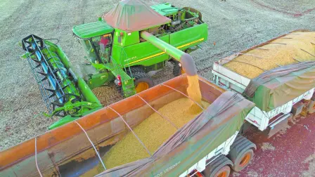 Descripción automática