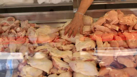 La Secretaría de Agricultura indicó que Brasil, el mayor exportador de pollo del mundo, detectó el virus de la influenza aviar altamente patógena.

Para más información del tema, visita: https://www.eleconomista.com.mx/empresas/mexico-suspende-importacion-productos-avicolas-brasil-foco-gripe-aviar-20250517-759499.html 

¡Síguenos en nuestras redes sociales para mantenerte informado!

Twitter: https://twitter.com/eleconomista 
Facebook: https://www.facebook.com/ElEconomista.mx
Instagram: https://www.instagram.com/eleconomistamx
LinkedIn: https://www.linkedin.com/company/el-economista/

#ElEconomista #EETV