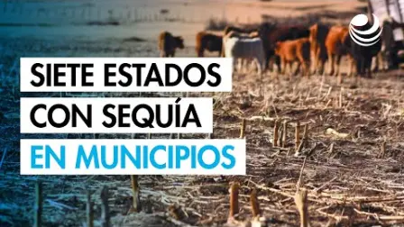 De acuerdo con la Comisión Nacional del Agua, en las entidades del norte se marcan las peores condiciones, debido a que cuatro estados de esa región cerraron en 2024 con la totalidad de sus municipios en sequía.

Para más información del tema, visita: https://www.eleconomista.com.mx/ 

¡Síguenos en nuestras redes sociales para mantenerte informado!

Twitter: https://twitter.com/eleconomista 
Facebook: https://www.facebook.com/ElEconomista.mx
Instagram: https://www.instagram.com/eleconomistamx
LinkedIn: https://www.linkedin.com/company/el-economista/

#ElEconomista #EETV