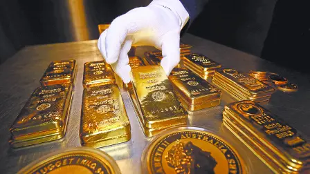 Descripción automática