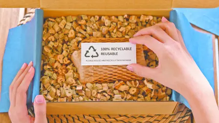 Descripción automática