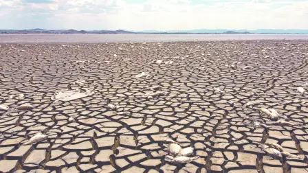 Descripción automática