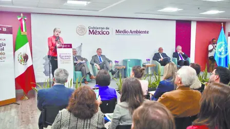 Descripción automática