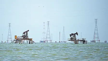 Descripción automática