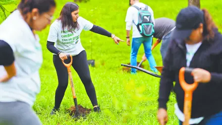 Colaboradores de IKEA participan en jornadas de limpieza en el Bosque de Aragón, impulsando el voluntariado corporativo mientras, en la tienda de Oceanía, la tecnología apoya la gestión sustentable con paneles solares y biodigestores.