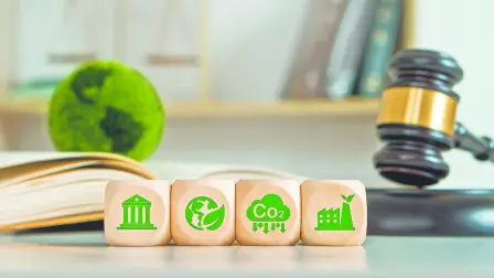 Con la entrada en vigor de las NIS se buscan promover una mayor claridad y acceso a la información