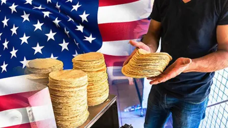 Cuando las grandes corporaciones transnacionales dictan lo que debemos consumir, las semillas se modifican genéticamente y se patentan.

Para más información del tema, visita: https://www.eleconomista.com.mx/arteseideas/eu-buscan-desmexicanizar-tortilla-blanqueando-quitandole-origen-indigena-20250608-762683.html 

¡Síguenos en nuestras redes sociales para mantenerte informado!

Twitter: https://twitter.com/eleconomista 
Facebook: https://www.facebook.com/ElEconomista.mx
Instagram: https://www.instagram.com/eleconomistamx
LinkedIn: https://www.linkedin.com/company/el-economista/

#ElEconomista #EETV #Tortillas