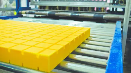 Descripción automática