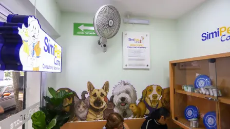 Consultorio veterinario SimiPet Care en la Ciudad de México.