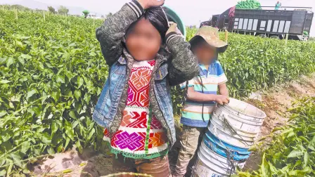 Descripción automática