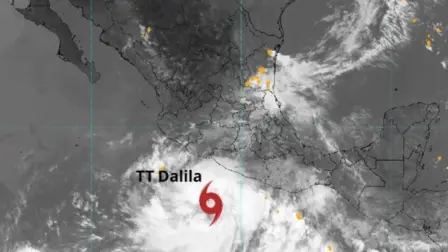 El SMN advirtió de posibles deslaves, incremento en niveles de ríos y arroyos, así como desbordamientos e inundaciones en cinco entidades.

Para más información del tema, visita: https://www.eleconomista.com.mx/politica/forma-tormenta-dalila-frente-costas-mexicanas-alerta-5-estados-pacifico-20250613-763661.html 

¡Síguenos en nuestras redes sociales para mantenerte informado!

Twitter: https://twitter.com/eleconomista 
Facebook: https://www.facebook.com/ElEconomista.mx
Instagram: https://www.instagram.com/eleconomistamx
LinkedIn: https://www.linkedin.com/company/el-economista/

#ElEconomista #EETV #TormentaTropical