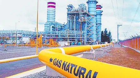 Descripción automática