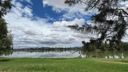 Parque El Cedazo, se creo en 1996 con la finalidad de rescatar el área de manantial.