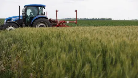 La Unión Europea recortará hasta 80% las importaciones de trigo y azúcar ucranianos para atender las preocupaciones de sus agricultores.

Para más información del tema, visita: https://www.eleconomista.com.mx/mercados/ue-reducira-importaciones-ucranianas-trigo-azucar-20250706-766918.html 

¡Síguenos en nuestras redes sociales para mantenerte informado!

Twitter: https://twitter.com/eleconomista 
Facebook: https://www.facebook.com/ElEconomista.mx
Instagram: https://www.instagram.com/eleconomistamx
LinkedIn: https://www.linkedin.com/company/el-economista/

#ElEconomista #EETV #Trigo #Ucrania