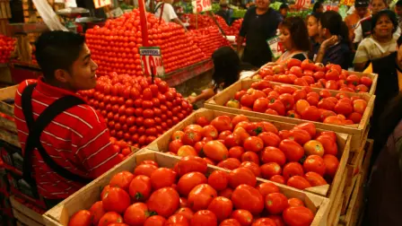 Juan Carlos Anaya, director general de GCMA, hizo un llamado “urgente al diálogo bilateral, con base en los compromisos asumidos en el T-MEC", para renovar el acuerdo de suspensión antes del 14 de julio.

Para más información del tema, visita: https://www.eleconomista.com.mx/empresas/eu-alista-arancel-tomate-mexicano-gcma-llama-dialogo-bilateral-renovar-acuerdo-20250707-767058.html

¡Síguenos en nuestras redes sociales para mantenerte informado!

Twitter: https://twitter.com/eleconomista 
Facebook: https://www.facebook.com/ElEconomista.mx
Instagram: https://www.instagram.com/eleconomistamx
LinkedIn: https://www.linkedin.com/company/el-economista/

#ElEconomista #EETV