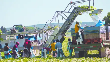 Descripción automática