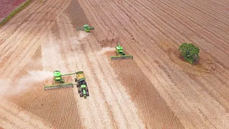 Descripción automática