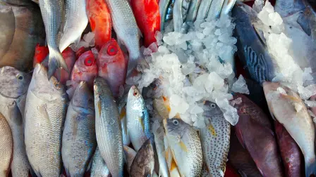 Raw fish on market counter