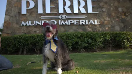 Goose, uno de los participantes en el Acapulcazo Perruno.