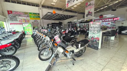 Descripción automática