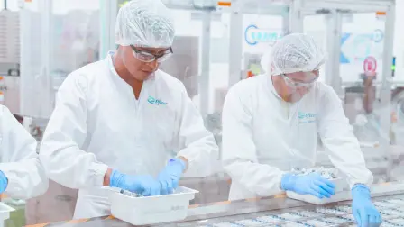 Descripción automática