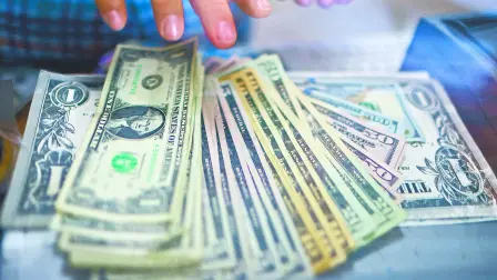 Descripción automática