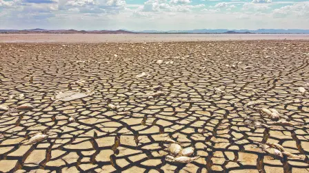 Descripción automática