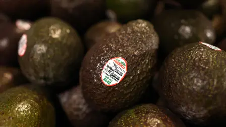 México exporta el 46% de su producción de aguacate a diversos países, incluyendo Estados Unidos, Canadá, Japón, España, Honduras, El Salvador, Costa Rica, China, Francia, Emiratos Árabes Unidos y Países Bajos, sumando ahora a Brasil a esta lista.

Para más información del tema, visita: https://www.eleconomista.com.mx/empresas/aguacate-mexicano-ira-mercado-brasileno-20250723-769429.html

¡Síguenos en nuestras redes sociales para mantenerte informado!

Twitter: https://twitter.com/eleconomista 
Facebook: https://www.facebook.com/ElEconomista.mx
Instagram: https://www.instagram.com/eleconomistamx
LinkedIn: https://www.linkedin.com/company/el-economista/

#ElEconomista #EETV