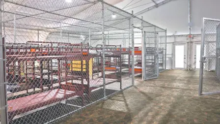 La Agencia Federal para el Manejo de Emergencias (FEMA) se prepara para enviar 608 millones de dólares a los estados para construir centros de detención de inmigrantes, como parte del impulso del gobierno de Donald Trump para ampliar la capacidad de retención de migrantes.

Para más información del tema, visita: https://www.eleconomista.com.mx/internacionales/fema-dara-estados-608-millones-dolares-construir-centros-detencion-inmigrantes-20250725-769830.html 

¡Síguenos en nuestras redes sociales para mantenerte informado!

Twitter: https://twitter.com/eleconomista 
Facebook: https://www.facebook.com/ElEconomista.mx
Instagram: https://www.instagram.com/eleconomistamx
LinkedIn: https://www.linkedin.com/company/el-economista/

#ElEconomista #EETV #Migración