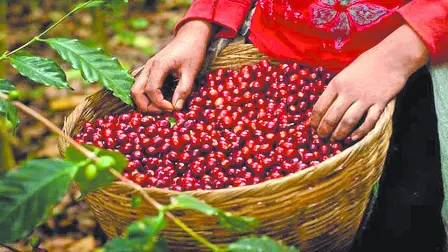 Descripción automática