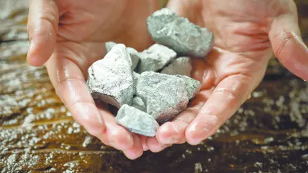 Descripción automática