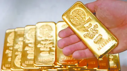 Descripción automática