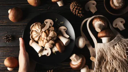Mushrooms, concept of autumn food, autumn harvest