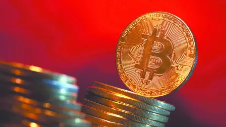 Descripción automática