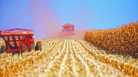 Descripción automática