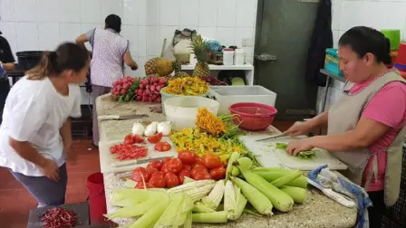 Productos esenciales como el jitomate, el huevo y el chayote fueron algunos de los que registraron una baja de precio, según datos del Inegi. Te contamos cuáles más bajaron, y también qué alimentos y servicios se encarecieron.

Para más información del tema, visita: https://www.eleconomista.com.mx/finanzaspersonales/sentiste-baja-precios-jitomate-otros-alimentos-dieron-respiro-bolsillo-20250823-773974.html 

¡Síguenos en nuestras redes sociales para mantenerte informado!

Twitter: https://twitter.com/eleconomista 
Facebook: https://www.facebook.com/ElEconomista.mx
Instagram: https://www.instagram.com/eleconomistamx
LinkedIn: https://www.linkedin.com/company/el-economista/

#ElEconomista #EETV #Canastabásica