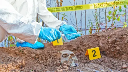 Descripción automática