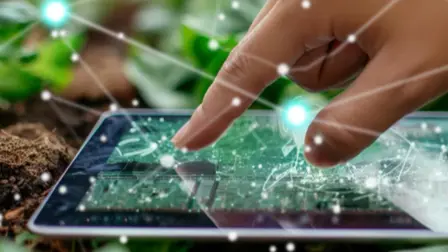 FIRA promueve el desarrollo de las competencias productivas, tecnológicas, financieras y empresariales de los productores.