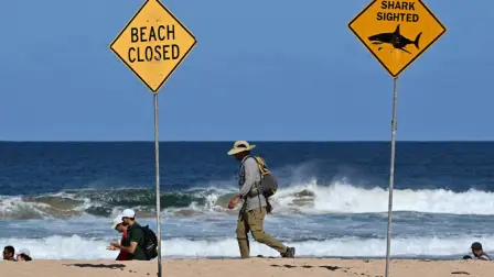 La policía cree que la víctima sufrió el ataque de un "gran tiburón" porque la tabla de surf quedó partida en dos.

Para más información del tema, visita: https://www.eleconomista.com.mx/internacionales/tiburon-mata-surfista-playa-australia-20250906-776054.html 

¡Síguenos en nuestras redes sociales para mantenerte informado!

Twitter: https://twitter.com/eleconomista 
Facebook: https://www.facebook.com/ElEconomista.mx
Instagram: https://www.instagram.com/eleconomistamx
LinkedIn: https://www.linkedin.com/company/el-economista/

#ElEconomista #EETV #Australia